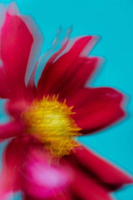 Personal Creative Projects