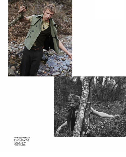 Not Far from the Woods