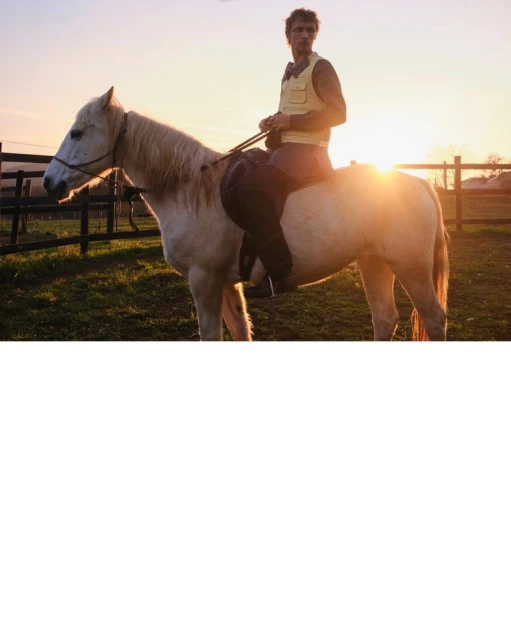 Not Far from the Woods