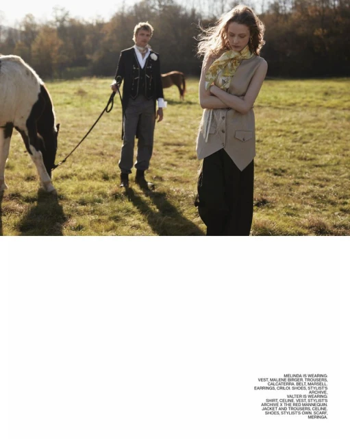 Not Far from the Woods