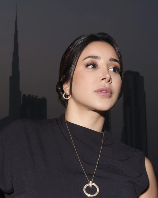 Aseel: A Moment To Shine