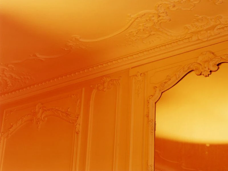 Léa Seydoux by Colin Dodgson