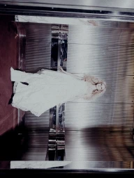 Grace in Frame: A Moment with Grace Van Petten