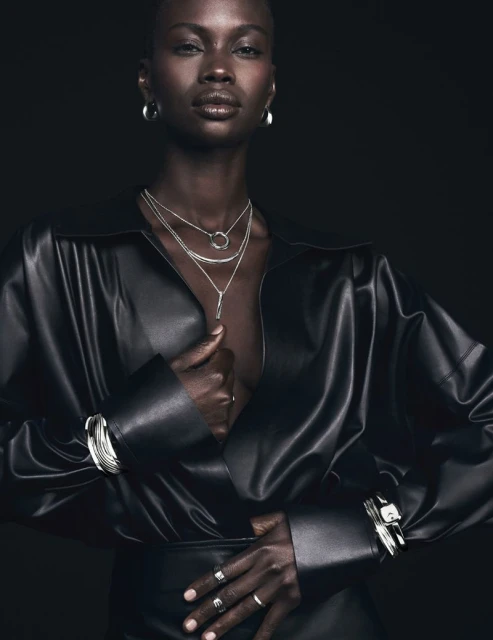 The Curve Collection