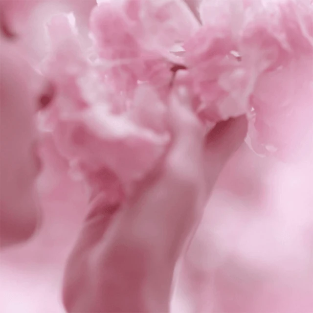 Dream Dusk Eau de Parfum