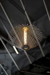 10 Valentine Street Parramatta