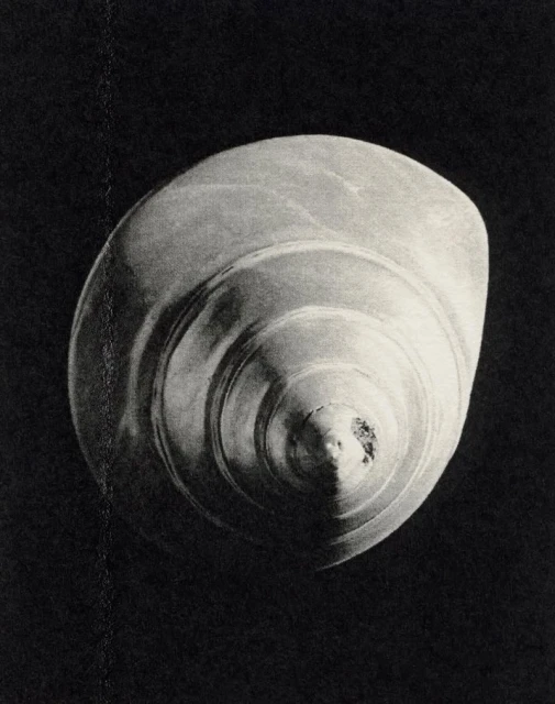 321 Magazine Heaven Issue