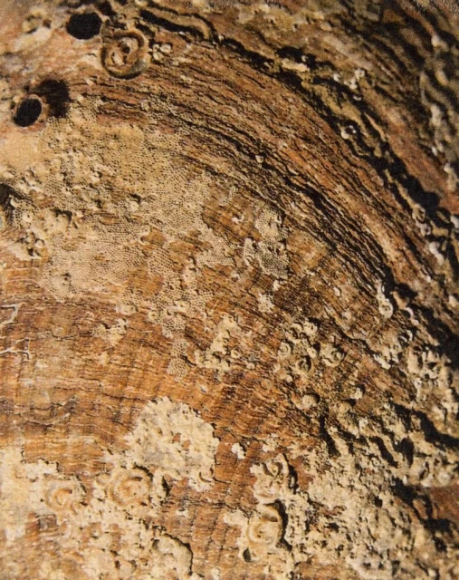 321 Magazine Heaven Issue