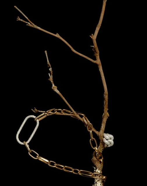 CAP 74024 S/F 2025 Cover