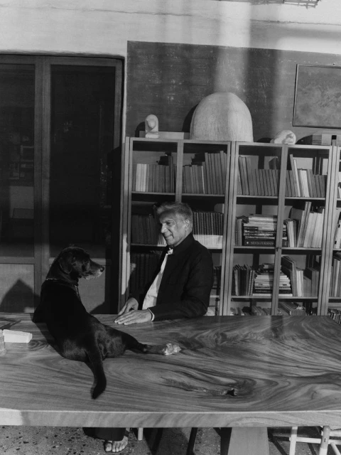 Bijoy Jain Let's the Light In