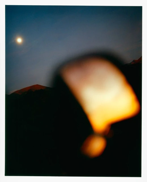 Shine Bright / Dorit Revelis