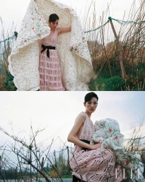 유채꽃이 만개한 어느 날