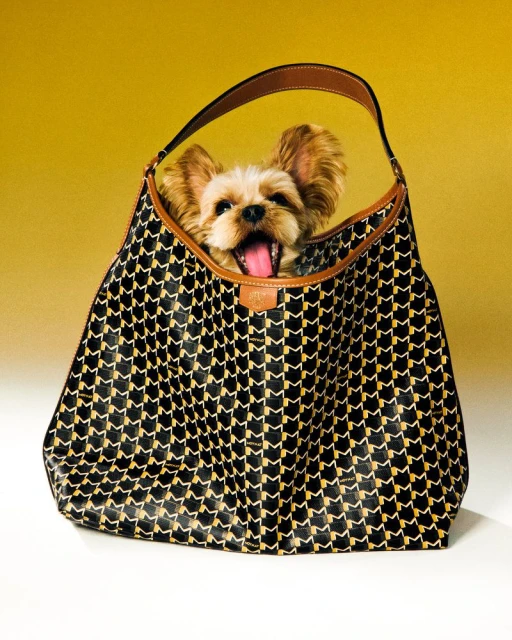 Moynat M Collection - Pet Campaign