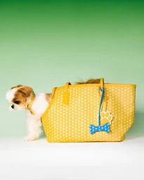 Moynat M Collection - Pet Campaign