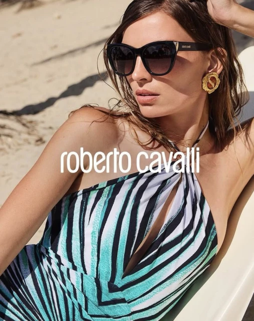 Ray of Sea Collection