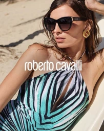 Ray of Sea Collection