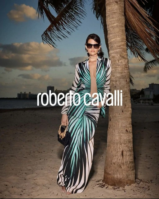 Ray of Sea Collection