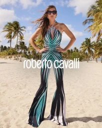 Ray of Sea Collection