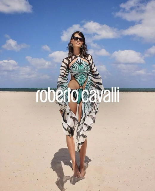 Ray of Sea Collection