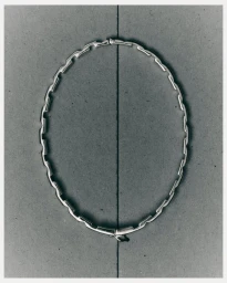 Prunés Campaign 2025