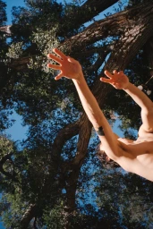 Daria Kobayashi Ritch