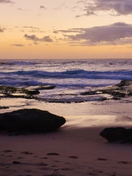 Vibrant Energy: Spring Summer 24