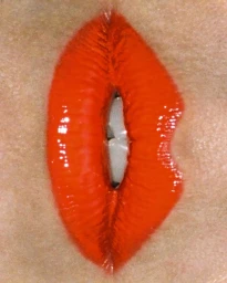 Notes on Beauty - The best theory of beauty is its history