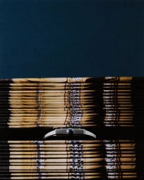 Photography Angele Moraiz and Paul Mougeot