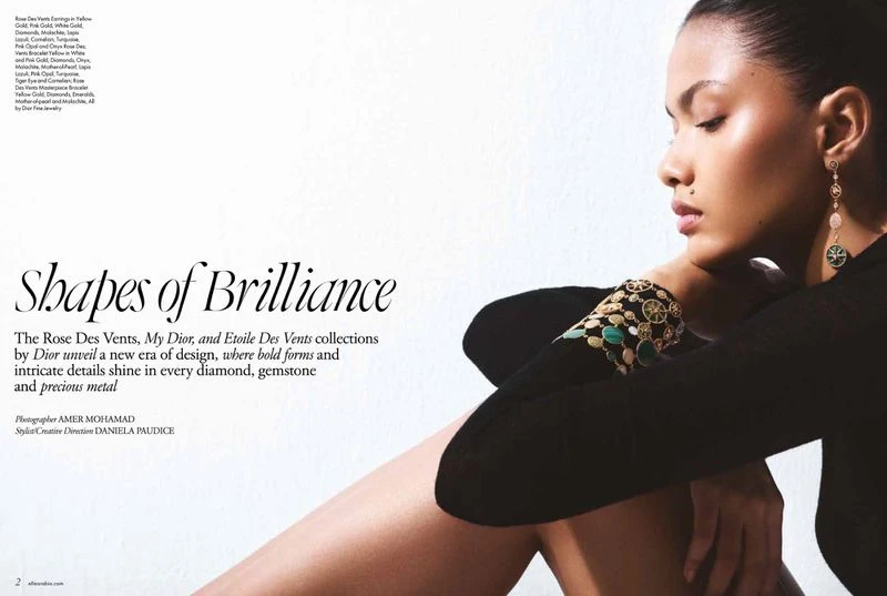 Shapes Of Brilliance Dior Jewelry Special