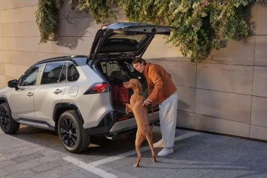 Daniel Blom for Toyota