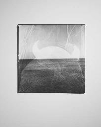 One With Nature : Today And Everyday