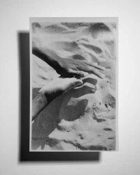 One With Nature : Today And Everyday