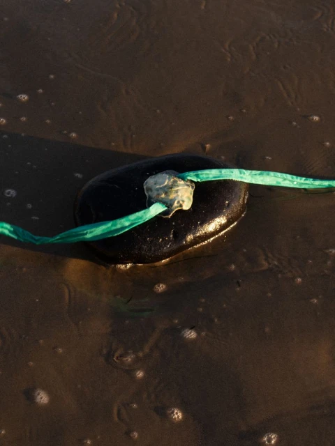 Pre Fall 2025 Campaign