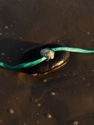 Pre Fall 2025 Campaign