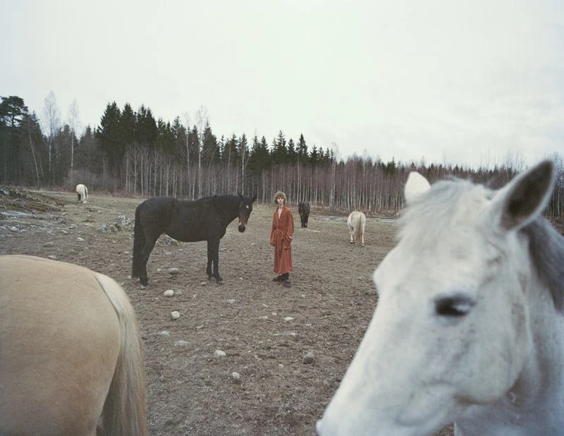 Louis Vuitton Special