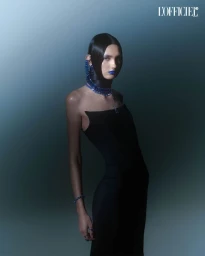 BRILLO EXTRAVAGANTE - FABIÁN AGUSTÍN