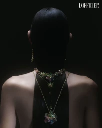 BRILLO EXTRAVAGANTE - FABIÁN AGUSTÍN