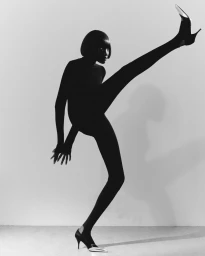 where light meets shadow