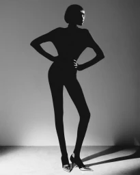 where light meets shadow