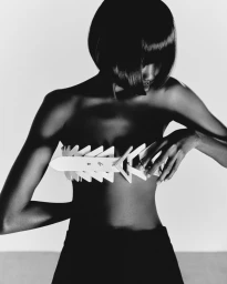 where light meets shadow