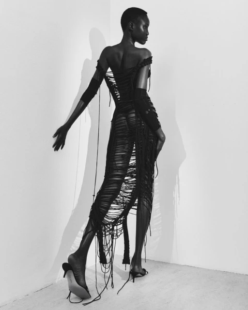 where light meets shadow