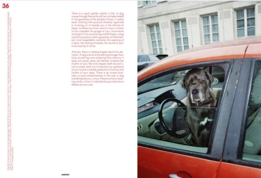 A DOG'S PURPOSE FOR ANDRON JOURNAL