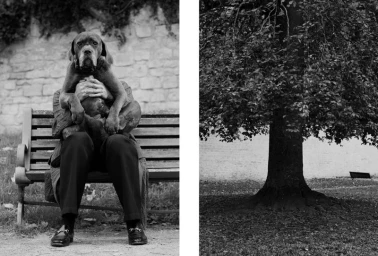 A DOG'S PURPOSE FOR ANDRON JOURNAL