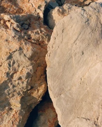 Homme Plissé Issey Miyake AW 25/26 Campaign