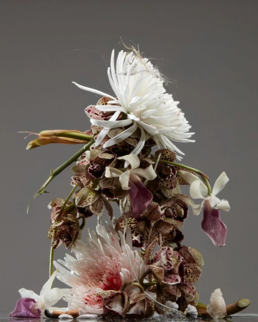 𝟩̶𝘈̶𝘓̶𝘒̶