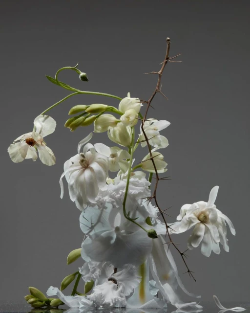 𝟩̶𝘈̶𝘓̶𝘒̶