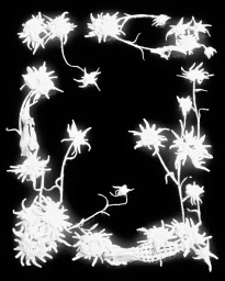 𝟩̶𝘈̶𝘓̶𝘒̶