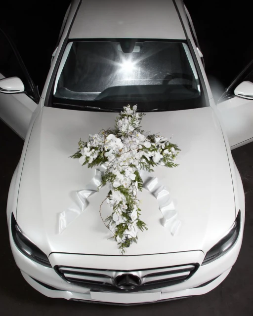 𝟩̶𝘈̶𝘓̶𝘒̶