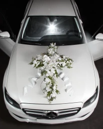 𝟩̶𝘈̶𝘓̶𝘒̶