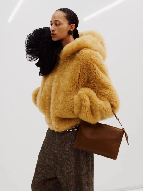 Phoebe Philo Preview: Collection D